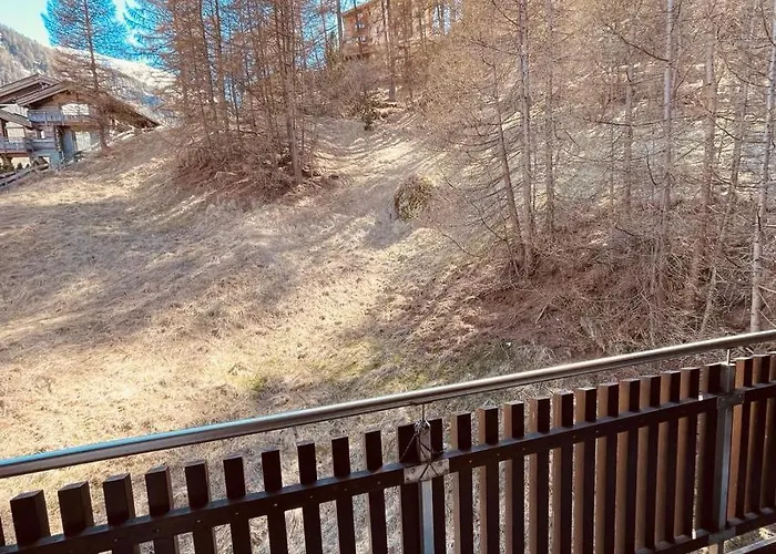 Haus Vitalis Apartment